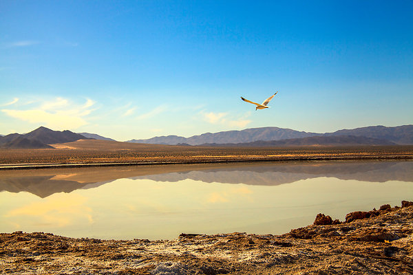 Superior Salt Flats 0103b